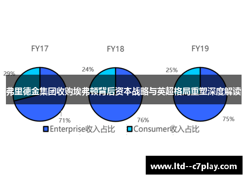 弗里德金集团收购埃弗顿背后资本战略与英超格局重塑深度解读